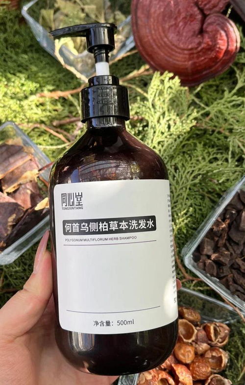 告别脱发困扰！2024平价防脱育发产品盘点，这四款值得一试